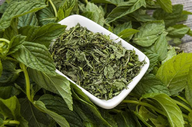 تصویر 2 از خرید نعنا خشک شده خانگی + قیمت فروش استثنایی